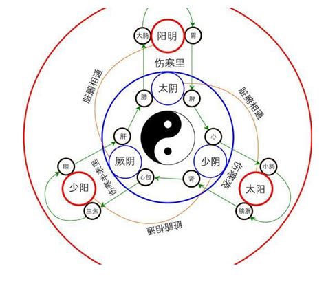 三陰三陽 日本|陰三